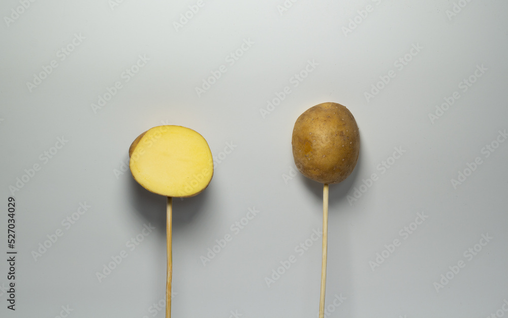 two pieces of potato stuck on a stick on a gray background