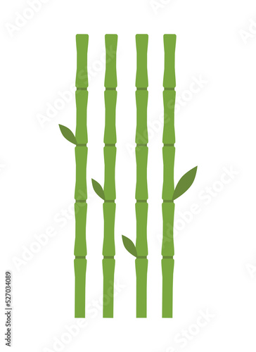 Fototapeta Naklejka Na Ścianę i Meble -  bamboo vector design illustration isolated on white background