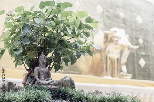 Buddha statue under bohdi tree on golden pagoda blurred background.