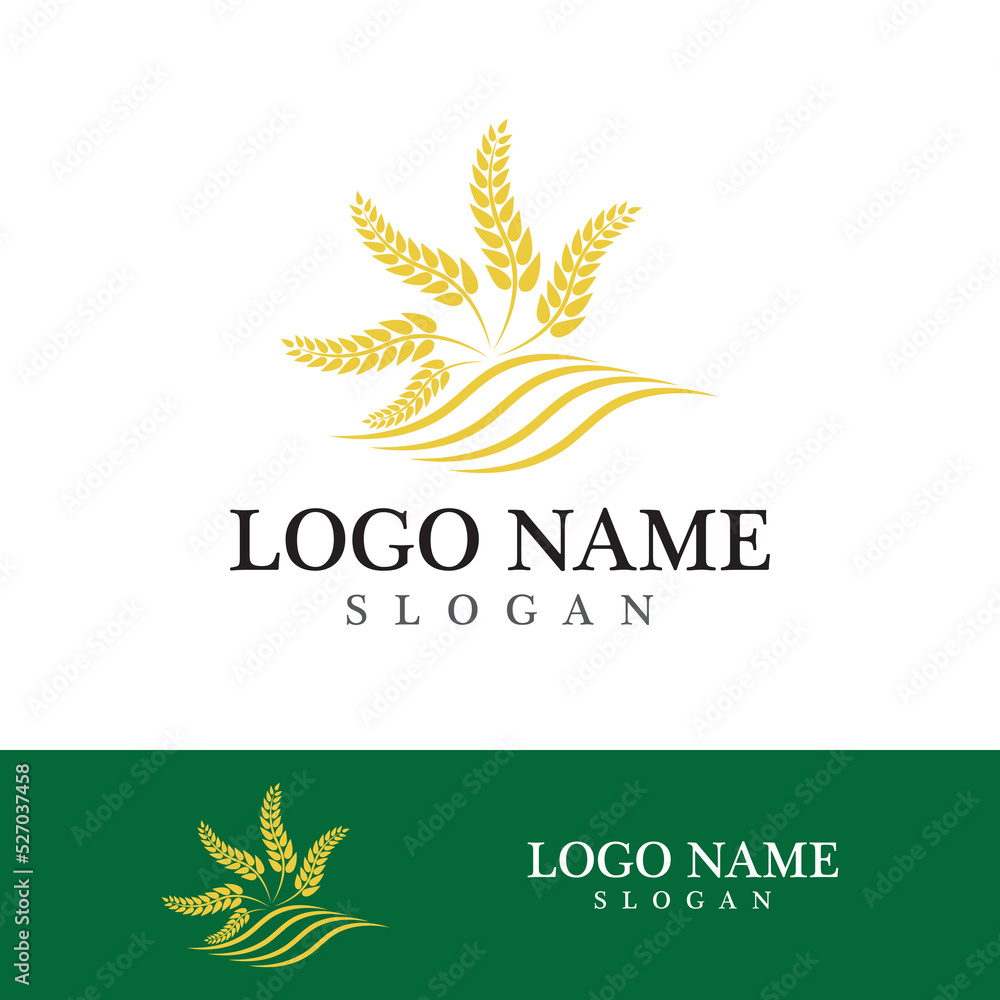 Agriculture wheat vector Agriculture wheat vector