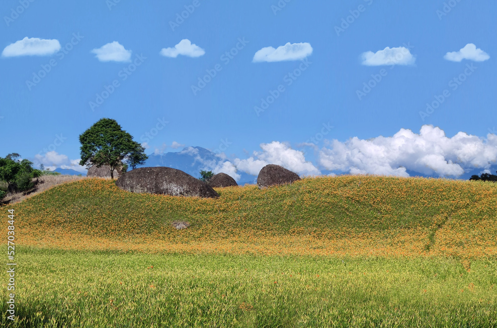 The beautiful daylily flower mountain of eastern Taiwan The beautiful daylily flower mountain of eastern Taiwan
