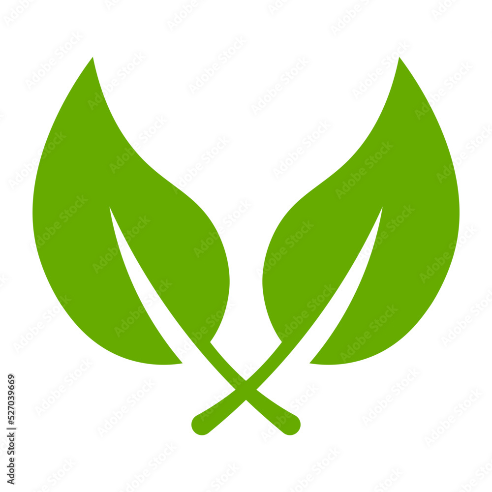 leaf icon
leaf icon