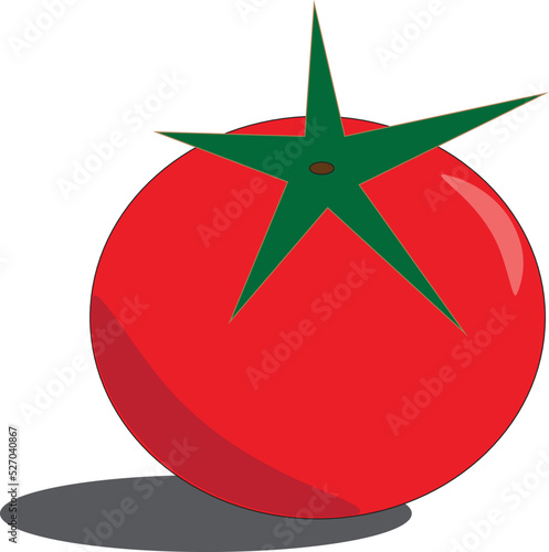 tomato vegetable fruit fresh nature flora health vitamin diet food vector art