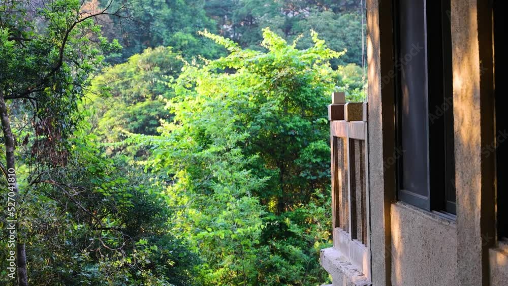 Deep mountain woods with balconies Deep mountain woods with balconies
