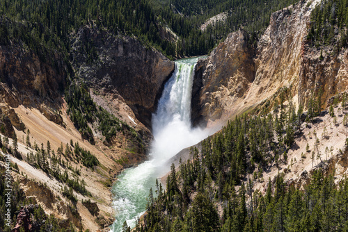 Lower Falls of the Yellowstone River crashing into the canyon, Yellowstone National Park, Wyoming, USA