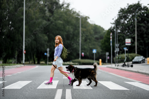 Pretty young woman and cute furry dog crossing the street at crosswalk stripes