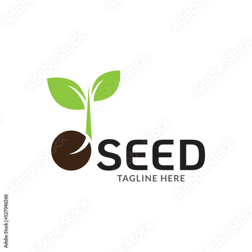 Growing seed logo design template. Fit for wheat farm, natural harvest, agronomy, rural country farming field