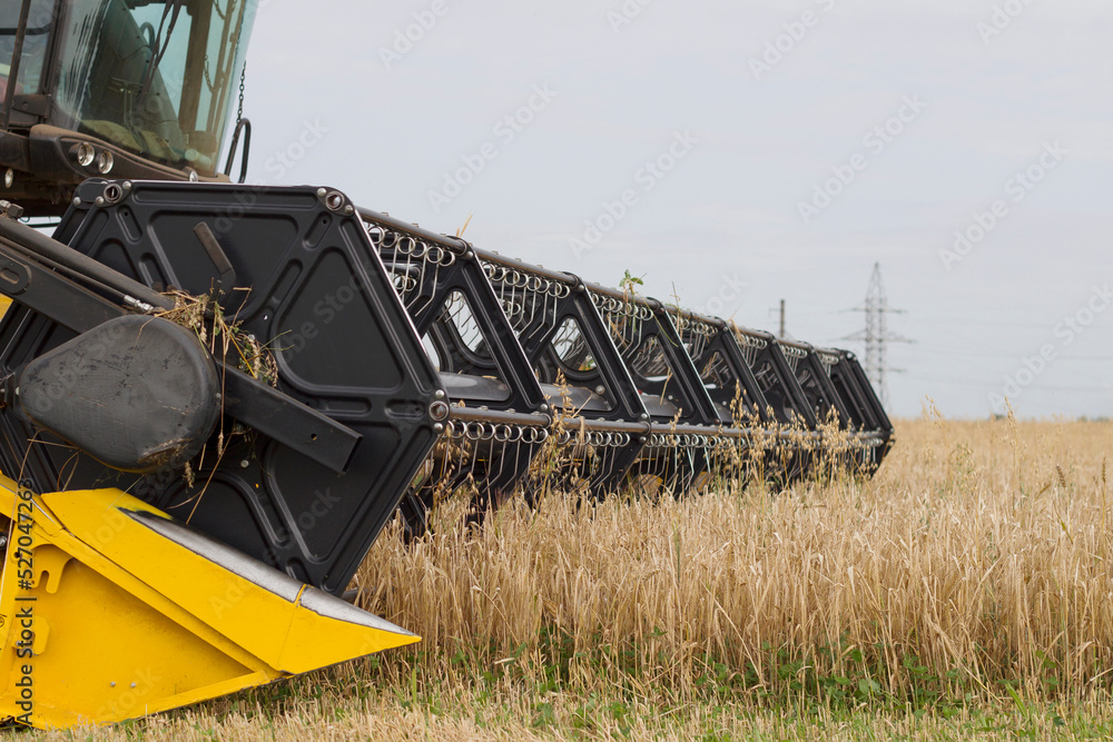 Fototapeta premium modern combine working in the field with grains