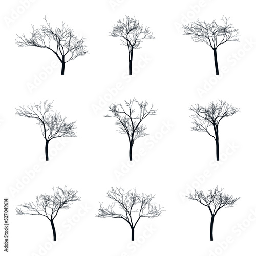Trees set silhouette. Coniferous forest. Isolated tree on white background.