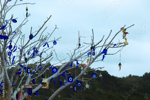 Dried branches of a tree decorated by using traditional evil eye beads that made of glass. photo