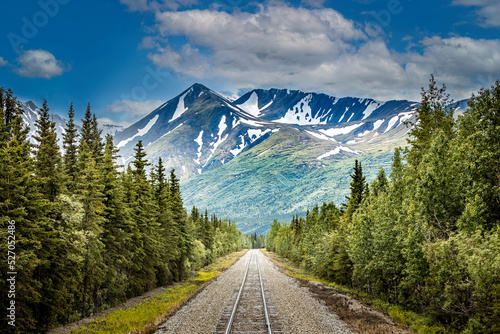 Leinwand Poster Railroad to Denali National Park, Alaska with impressive mountains