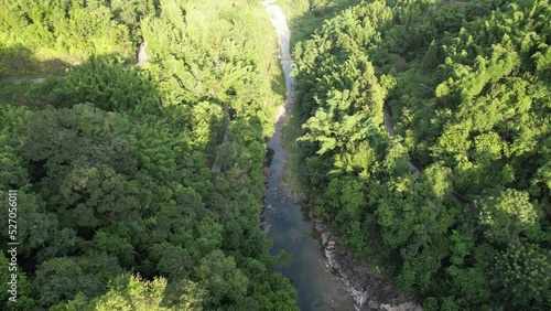 Aerial photography of a dwelling in the forest