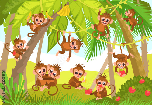 Cute monkeys in jungle. Cartoon tropical animal characters in rainforest. Wild exotic fauna. Marmosets hanging on vines. Macaques eating fruits. Forest foliage. Splendid vector concept #527056806