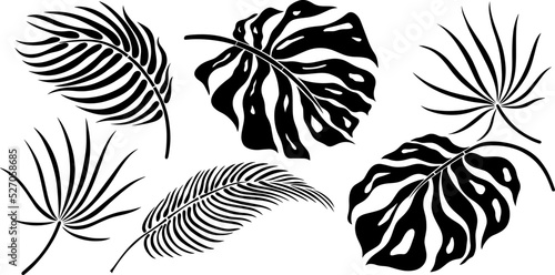 Leaf silhouette isolated on white. Tropical leaf. Hand drawn vector illustration.