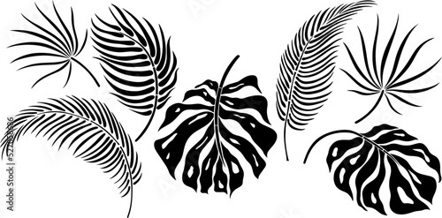 Wallpaper Mural Leaf silhouette isolated on white. Tropical leaf. Hand drawn vector illustration. Torontodigital.ca