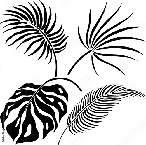 Leaf silhouette isolated on white. Tropical leaf. Hand drawn vector illustration.