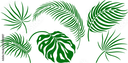 Leaf silhouette isolated on white. Tropical leaf. Hand drawn vector illustration.