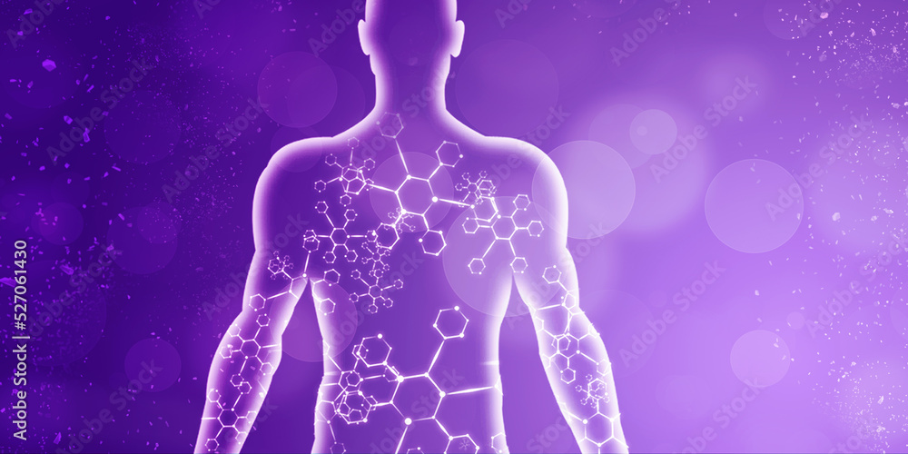 2d illustration Human Male Muscle Body
2d illustration Human Male Muscle Body