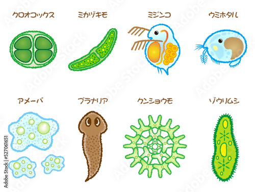 手描き風の微生物のイラスト素材