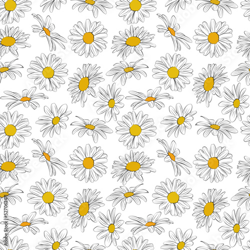 A set of seamless background with chamomile. Vector graphics, 1000x1000.