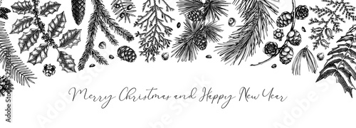 Merry Christmas background. Vintage winter trees, evergreen plants, conifers, and nuts sketches. Vector design with hand drawn botanical elements. Christmas card and New year invitation templates