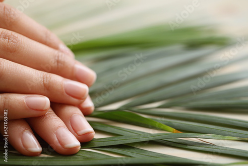 Beautiful woman hands with manicure isolated on leaves background. © racool_studio