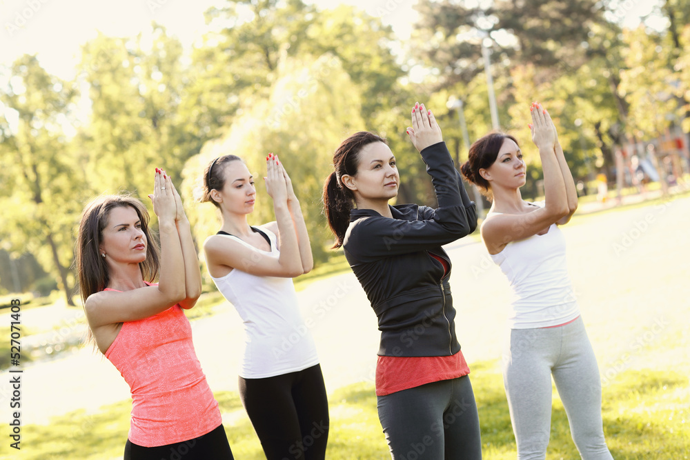 A group of healthy, beautiful, athletic women in sporty clothes doing yoga in the park. A group of healthy, beautiful, athletic women in sporty clothes doing yoga in the park.