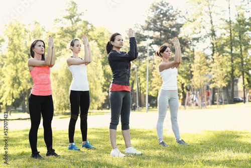 A group of healthy, beautiful, athletic women in sporty clothes doing yoga in the park.