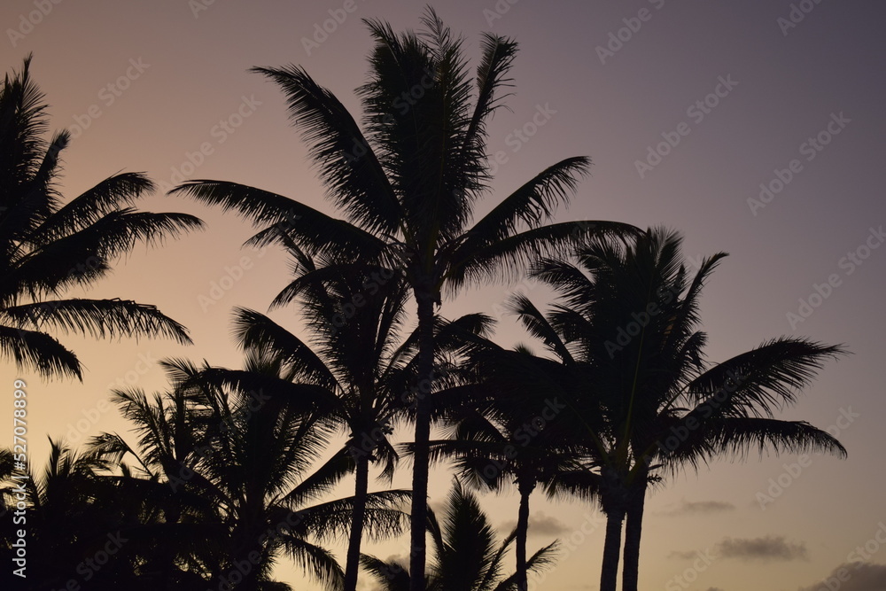 Fototapeta premium mauritius