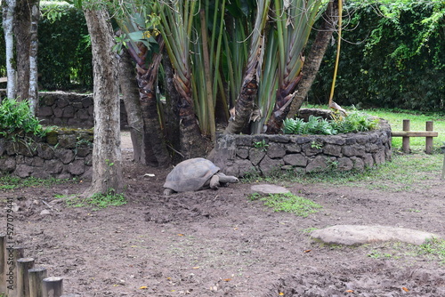mauritius chamarel