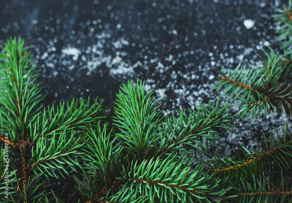 Top view of Christmas little green artificial tree on dark surface