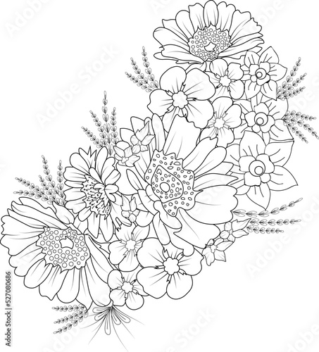 isolated hand drawn doodle flower zentangle pencil sketch vector illustration botanical collection leaf branch of flower buds bouquet of floral black and whit ink art adult coloring page and books 