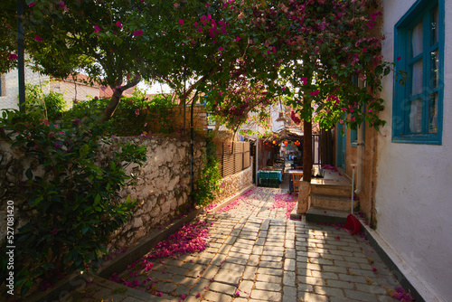 Kas town cozy street. Overgrown with flowers Turkish village blooming street. © kravtzov