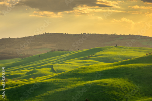 Amazing landscape of the green hills in the Tuscany countryside at sunset, Italy