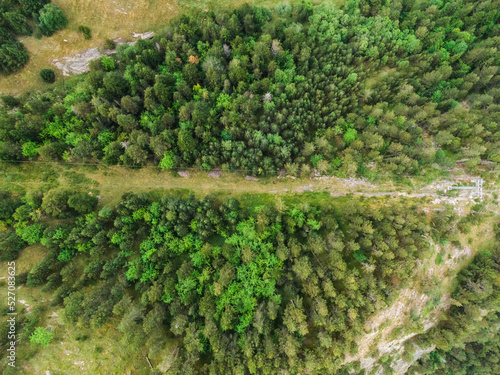 Fotografía aérea de bosque forestal en Andorra, Arinsal. Otoño 2021 photo