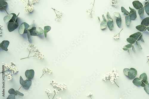Close up photo of fresh eucalyptus leaves against a neutral  background. photo
