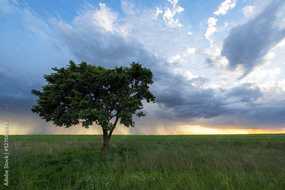 Fototapeta premium Thunder shower at sunset
