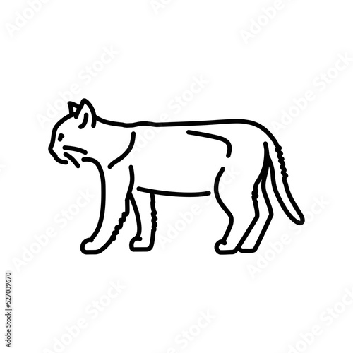 The cat stands in profile color line icon. Pictogram for web page