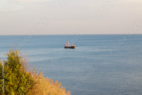 Seascape. View of the sea from the grassy shore. The ship sails on the sea near the shore.