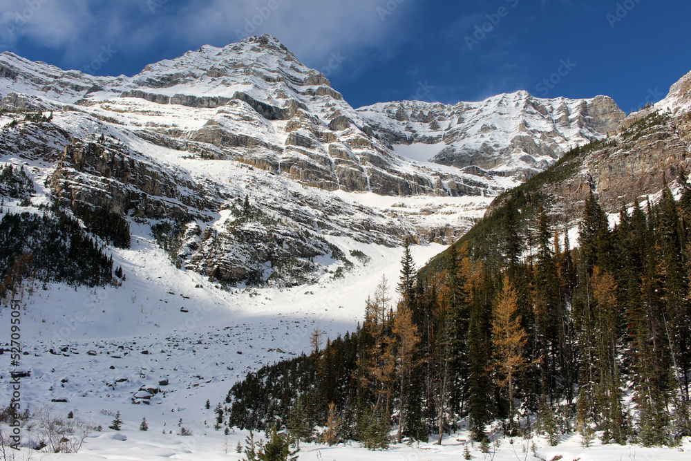 Snowy mountain forest landscape