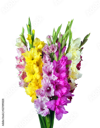 Colorful bouquet of gladiolus isolated on white. 