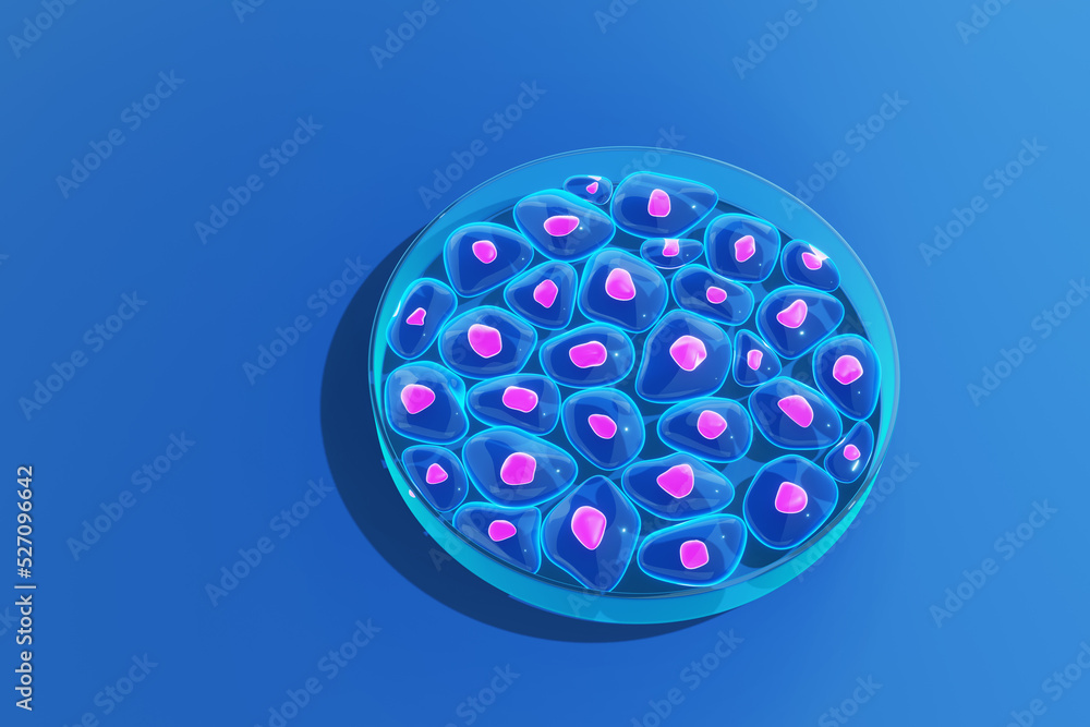 Cells of organisms growing in a glass Petri dish (aka. cellculture