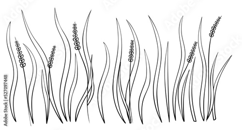 Cartoon grass for coloring page.