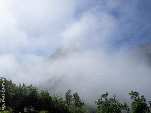Paisaje con nubes bajas de niebla blanca tapando montañas, y árboles verdes, en verano 2021