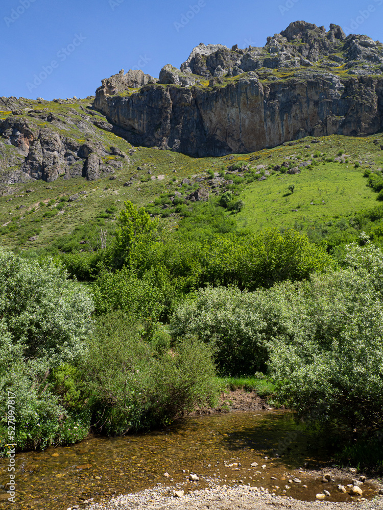 Vistas del valle de Somiedo, en Asturias, España, con montañas al fondo y un río en primer plano, rodeado de hierbas y árboles verdes en un entorno tranquilo, verano de 2021