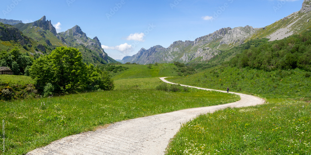 Vistas panorámicas de una persona caminando a lo lejos, por un sendero de montaña con curvas, en el valle de Somiedo, con un paisaje de naturaleza verde  en Asturias,  verano de 2021
