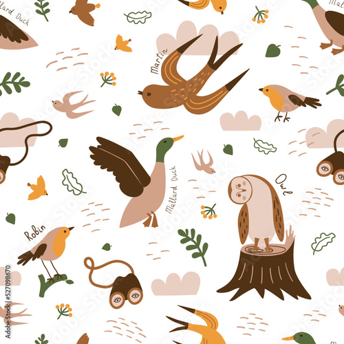 Birdwatching seamless pattern. Birding print. Birds flying in nature background. Duck, robin, owl, martin birds illustration. Vector wildlife wallpaper Bird watching ornithology, bird watcher concept.