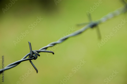 Close-up perspective of a barb on a length of barbed wire receding along a diagonal to a blur, against a green background