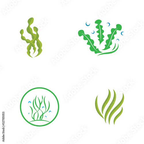 seaweed logo design with vector illustration template