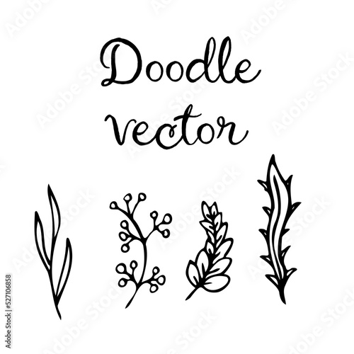 Vector doodle leaves and branch set. Black silhouette line illustration